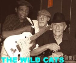 71f6e52335558caea3f15a5d7262923477c3e2c4