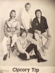 chicorytip3