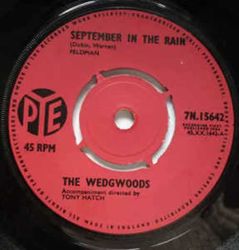 wedgwoods10